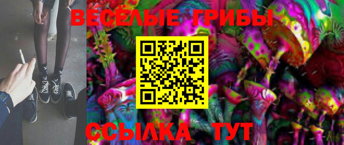 Псилоцибиновые грибы GOLDEN TEACHER  продажа наркотиков  Ливны  Вход с VPN 